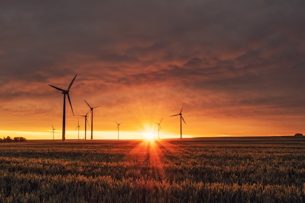 Sustainability and Environment
